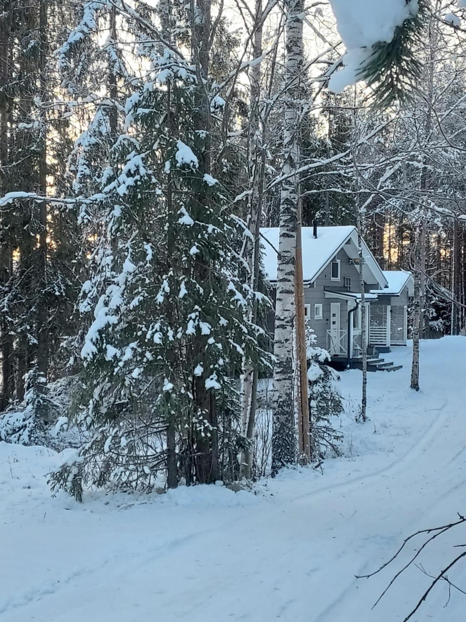 Villa Sirius Sieri, Nice Log-Cottage By The Lake Rovaniemi Zewnętrze zdjęcie